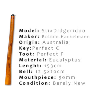 Termite-Hollowed Eucalyptus Didgeridoo - KEY: C - from Australia by "Stix", Robbie Hantelmann